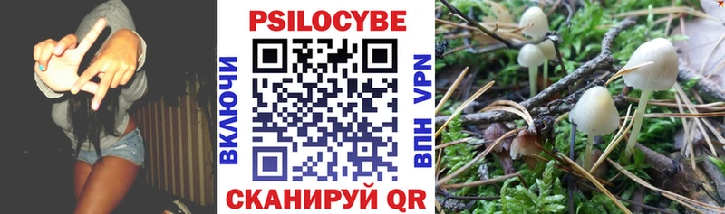 Псилоцибиновые грибы мухоморы  купить наркотик  площадка телеграм  Шилка 